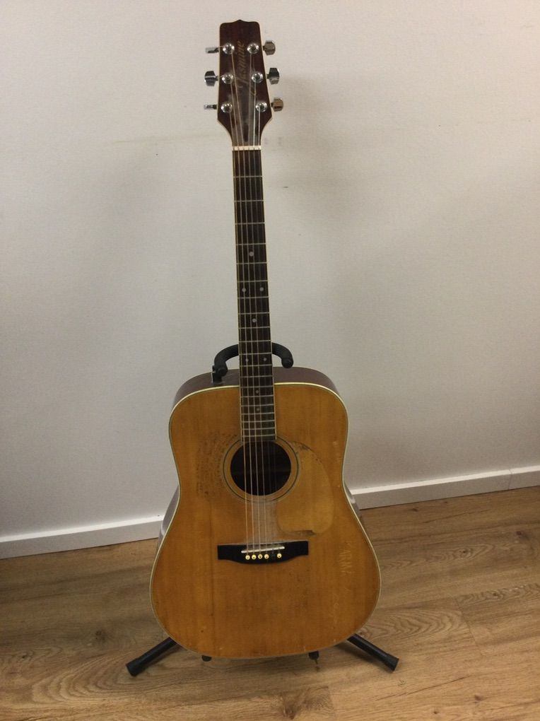 Jasmine Acoustic Guitar