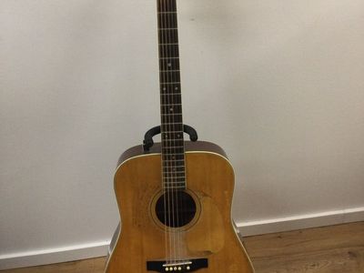 Jasmine Acoustic Guitar