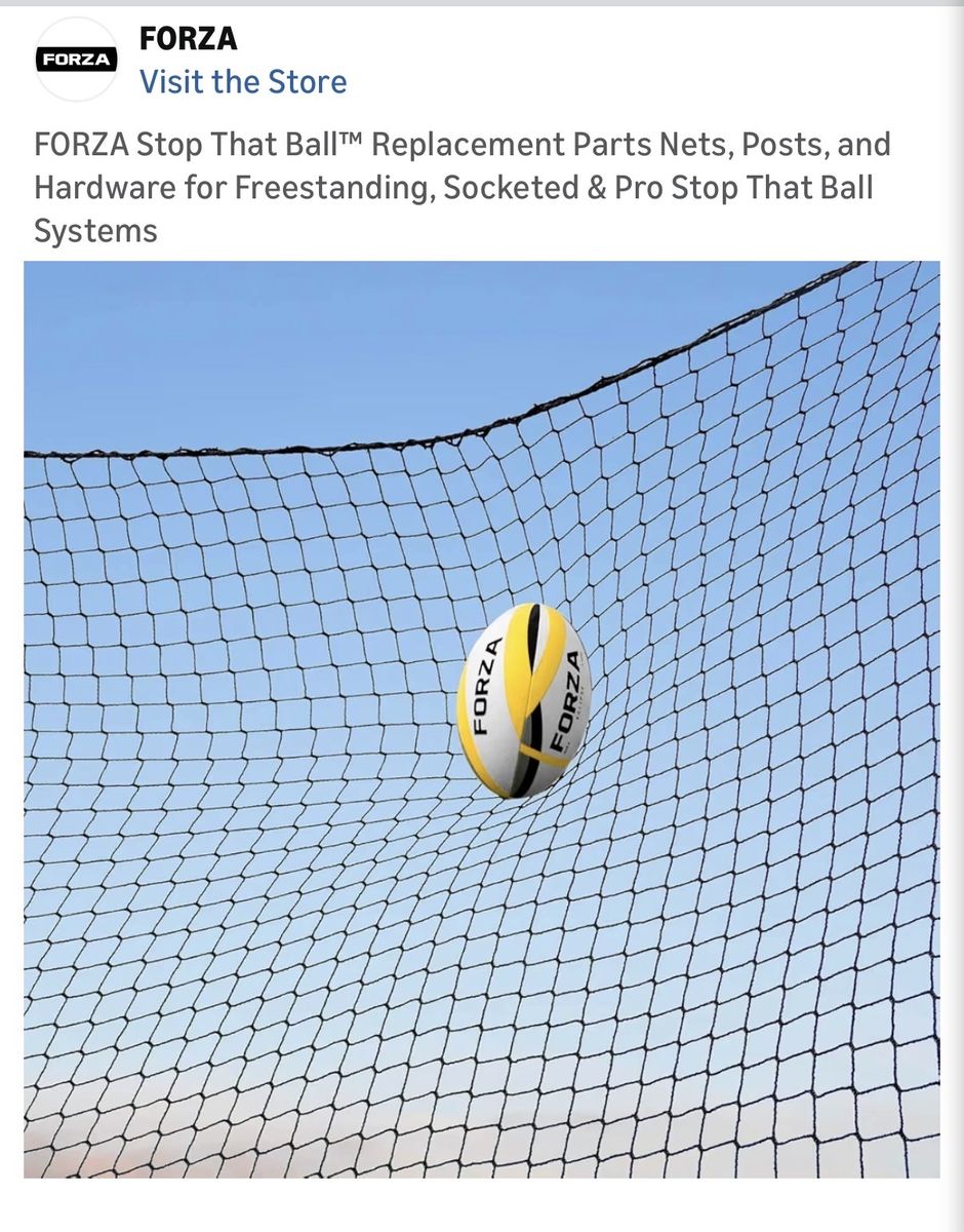 10' x 10' Sports Net