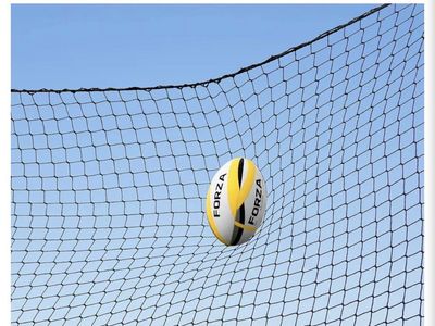 10' x 10' Sports Net