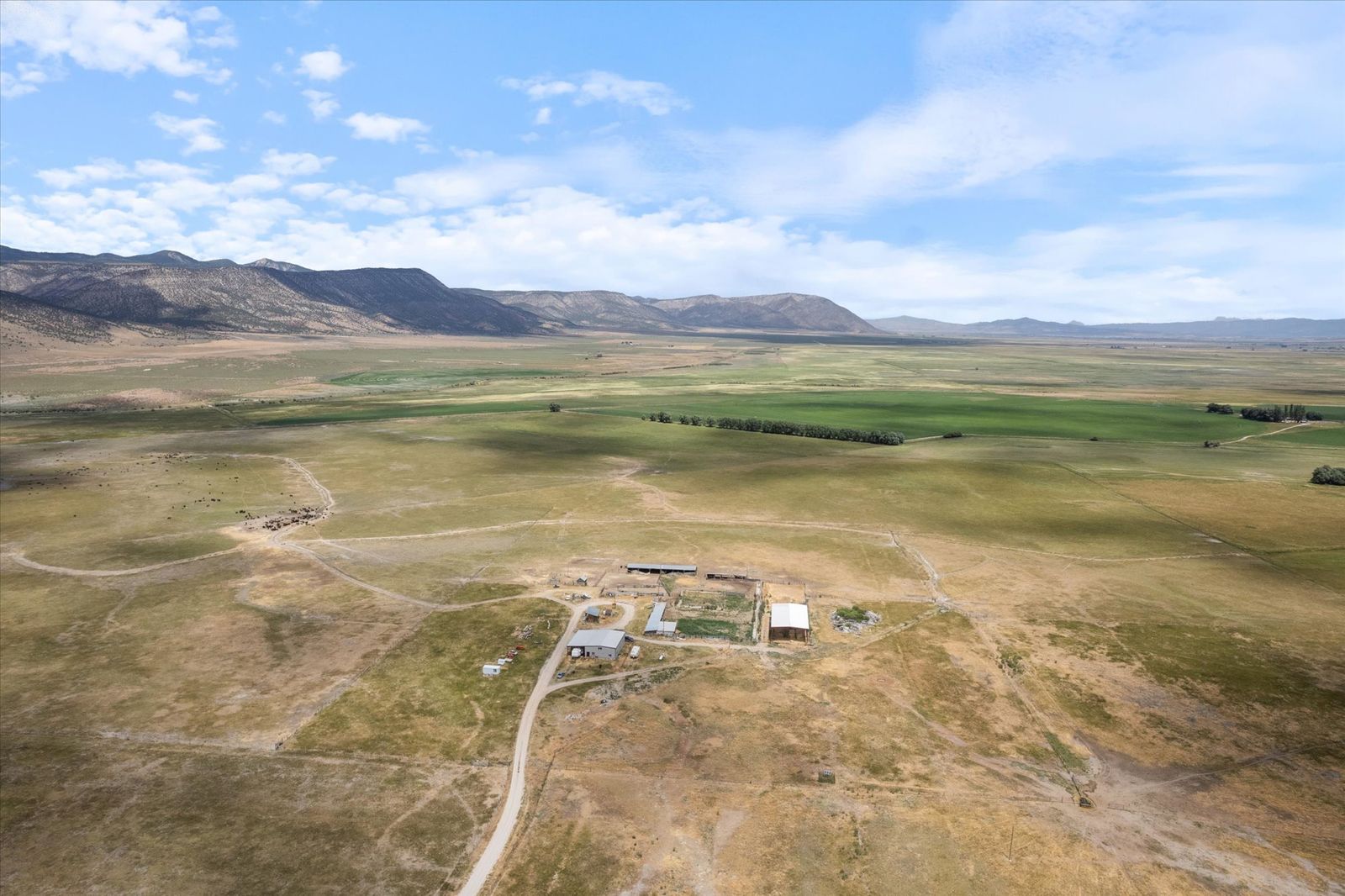 Main image 2