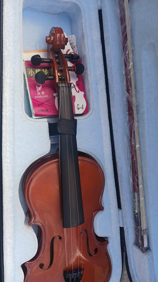 violin