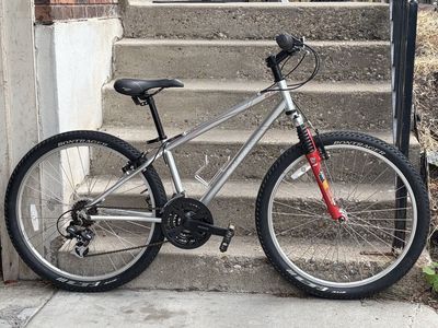 Raleigh 21spd Mountain Bike