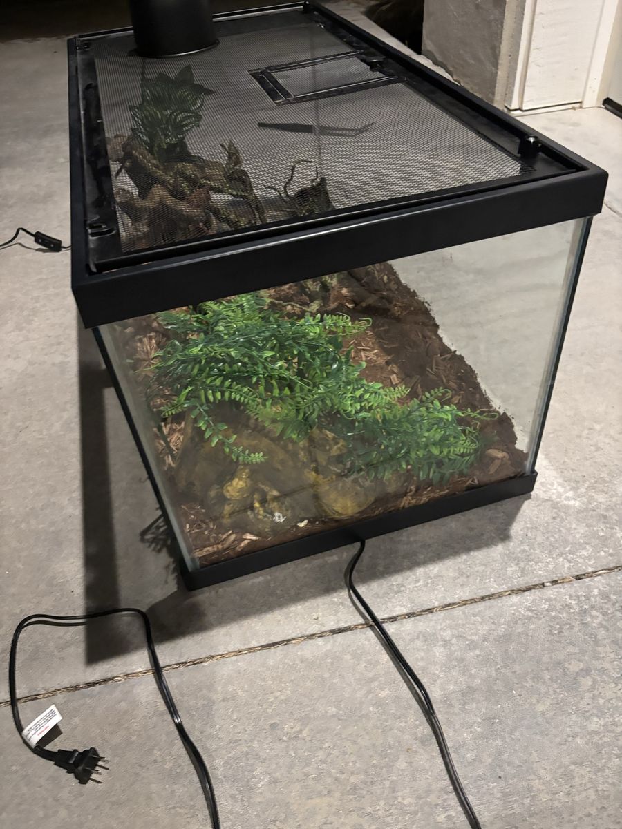 Main image 4