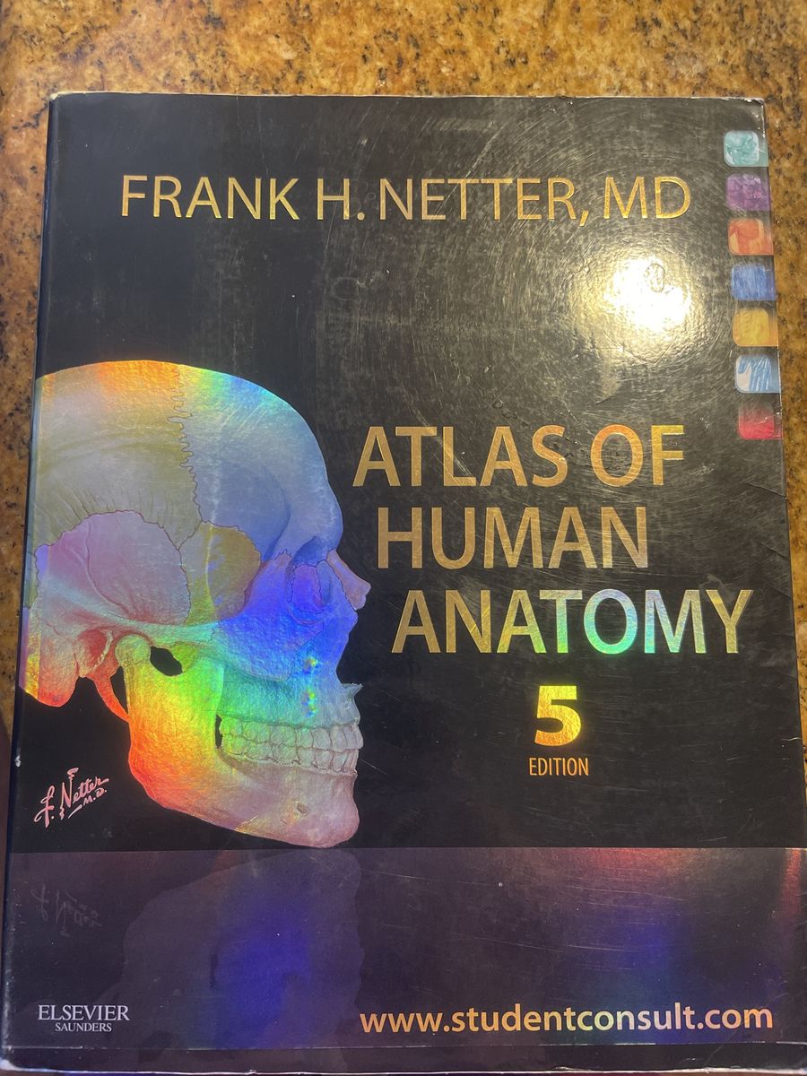 Frank H. Netter MD Atlas of Human Anatomy 5th Edition Medical Textbook Elsevier Saunders