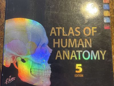 Frank H. Netter MD Atlas of Human Anatomy 5th Edition Medical Textbook Elsevier Saunders