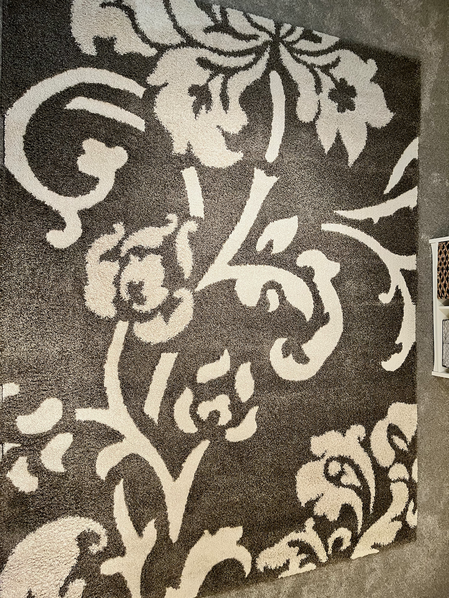 Safavieh 8' x 10' Area Rug
