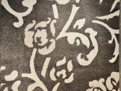 Safavieh 8' x 10' Area Rug