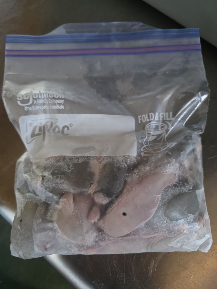 Snake Food - Bunnies