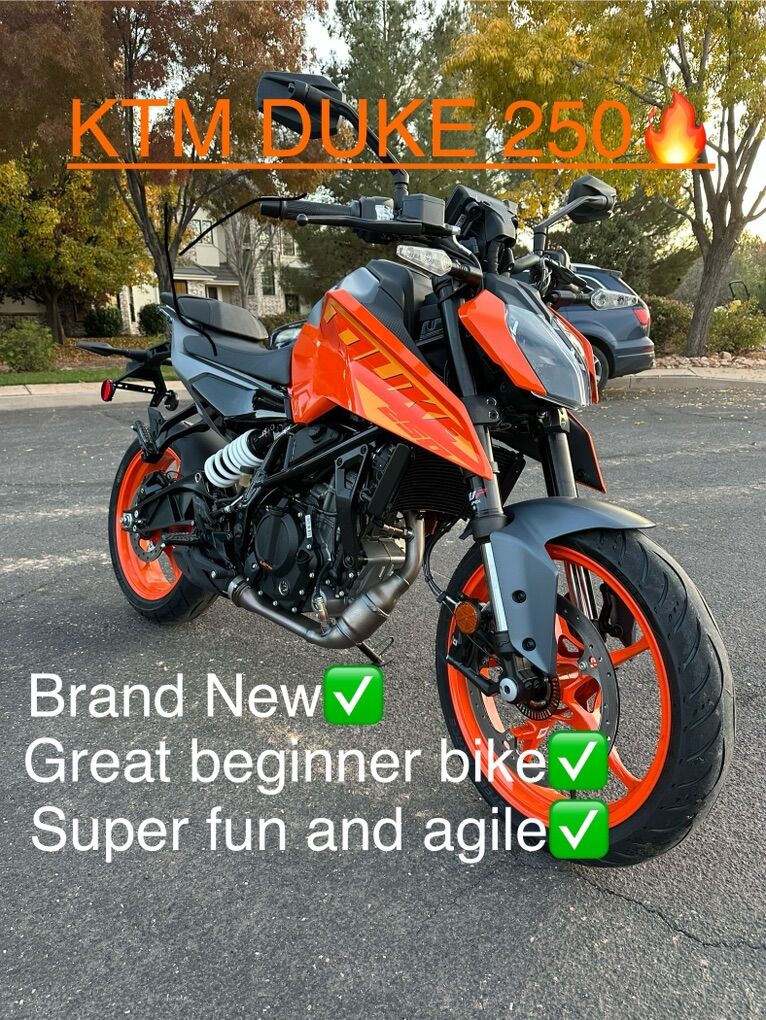 2024 KTM Duke 250