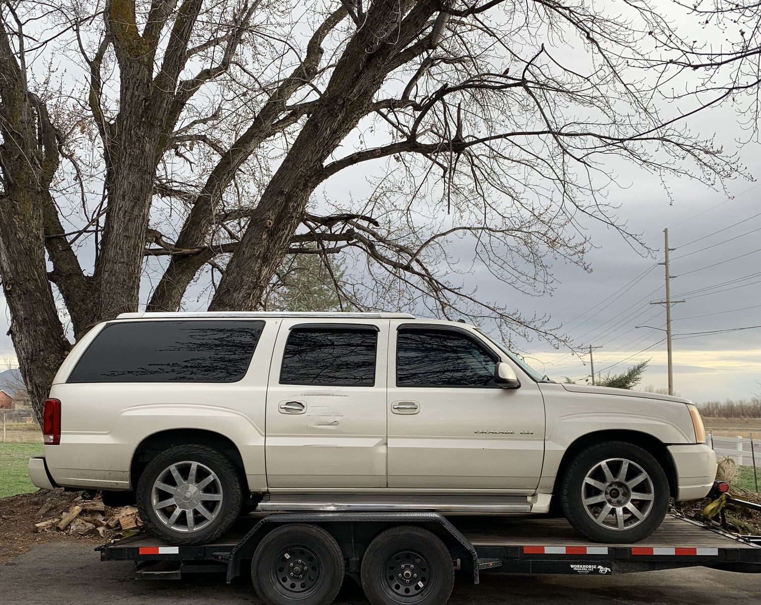 2005 Cadillac Escalade ESV Platinum Part Out