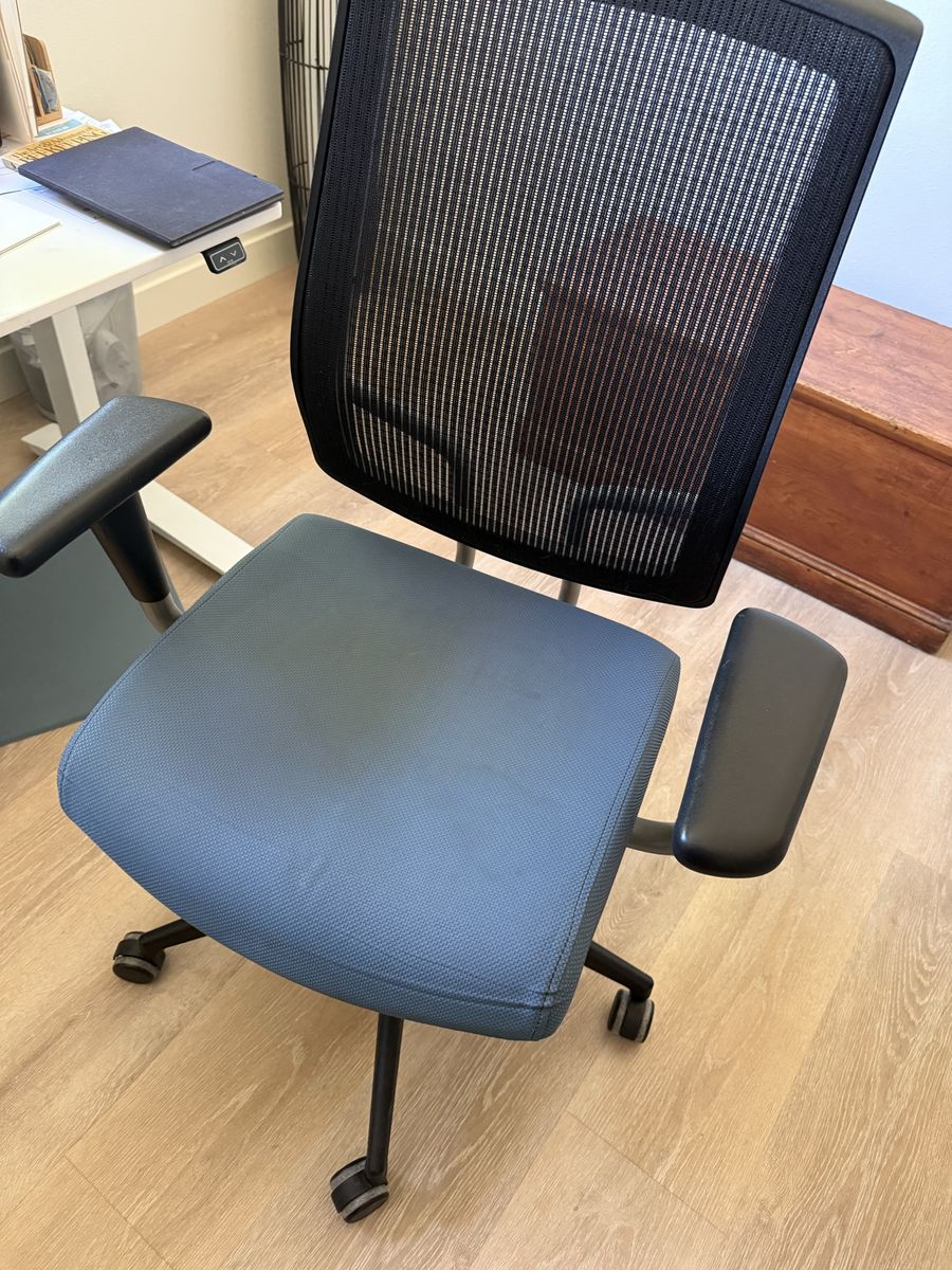 Ergonomic Office Chair - Adjustable Arms, Lumbar Support, Black/Blue