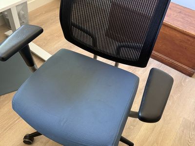 Ergonomic Office Chair - Adjustable Arms, Lumbar Support, Black/Blue