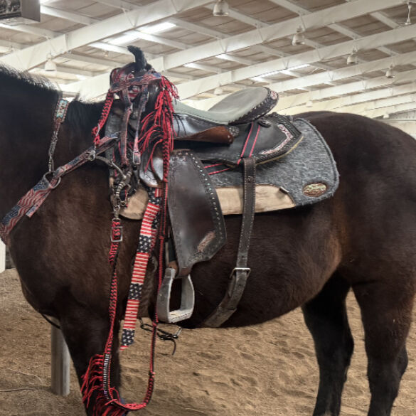 Two Barrle Saddle For Sale