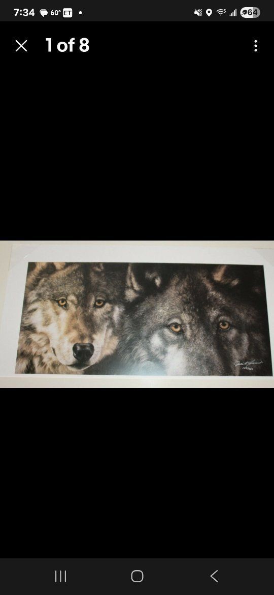 Framed Wolf Prints by Judi Rideout