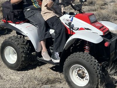 2x Polaris Trailboss 330 Automatic