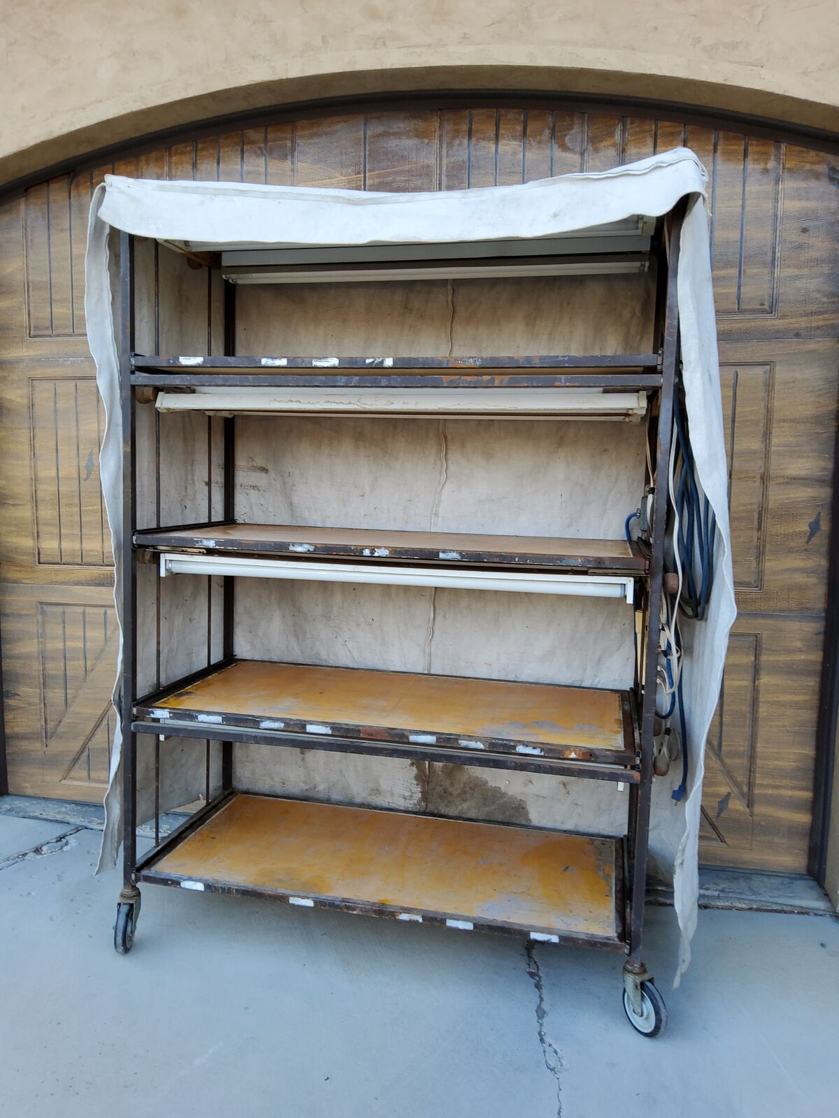 Greenhouse Propagation rack for seedlings.