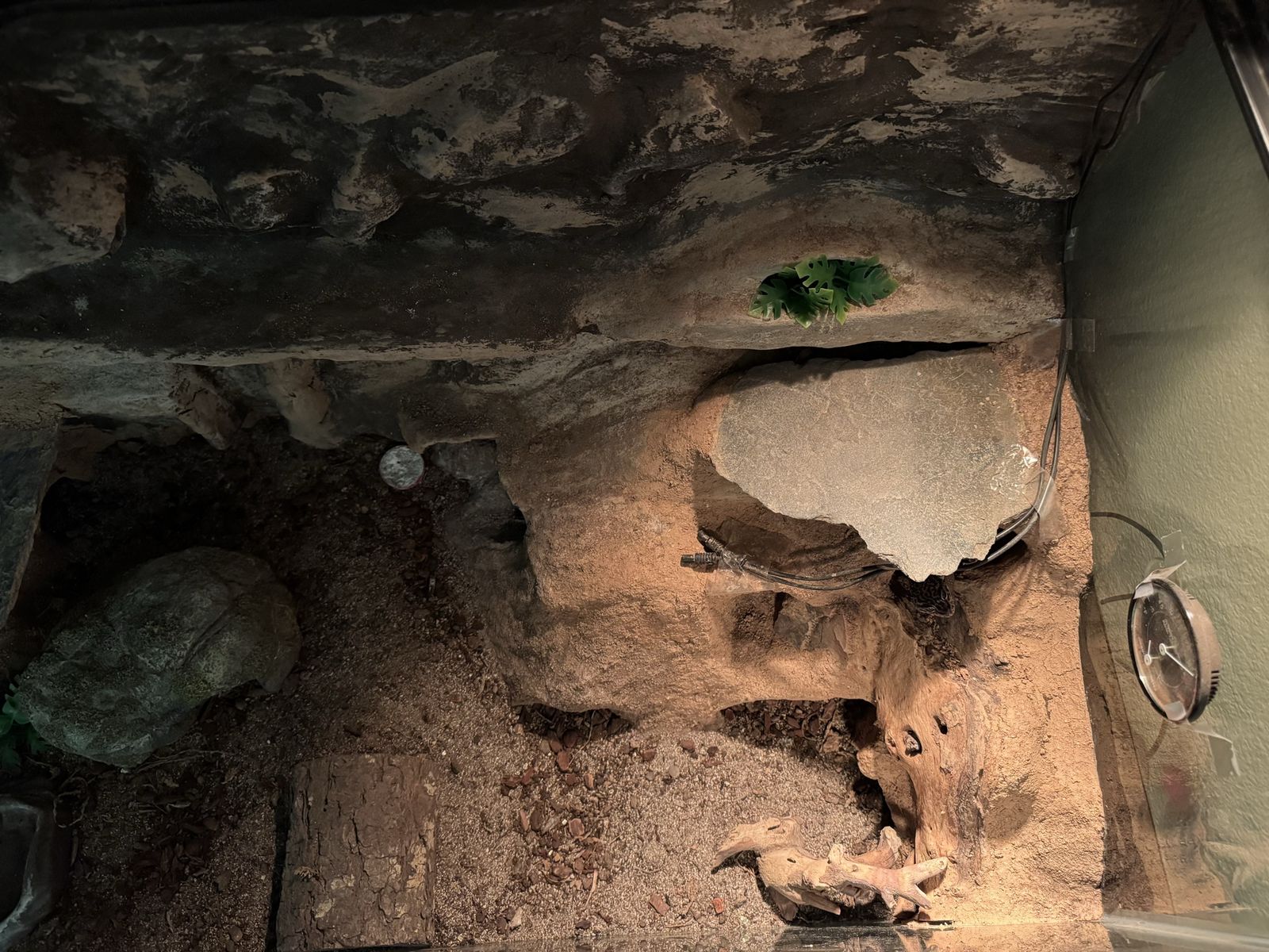 Main image 5