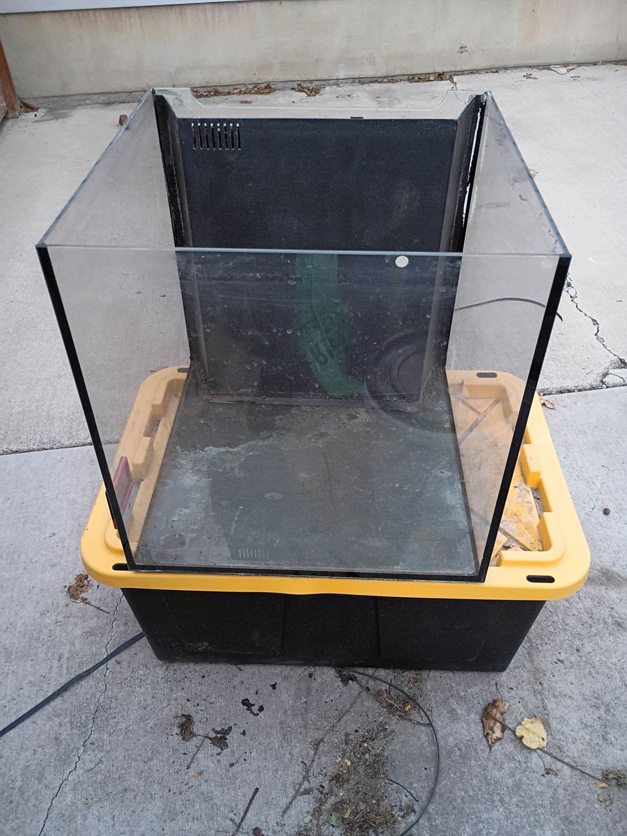 Rimless fish tank