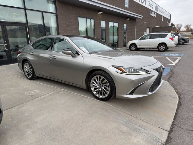 2019 Lexus ES Luxury