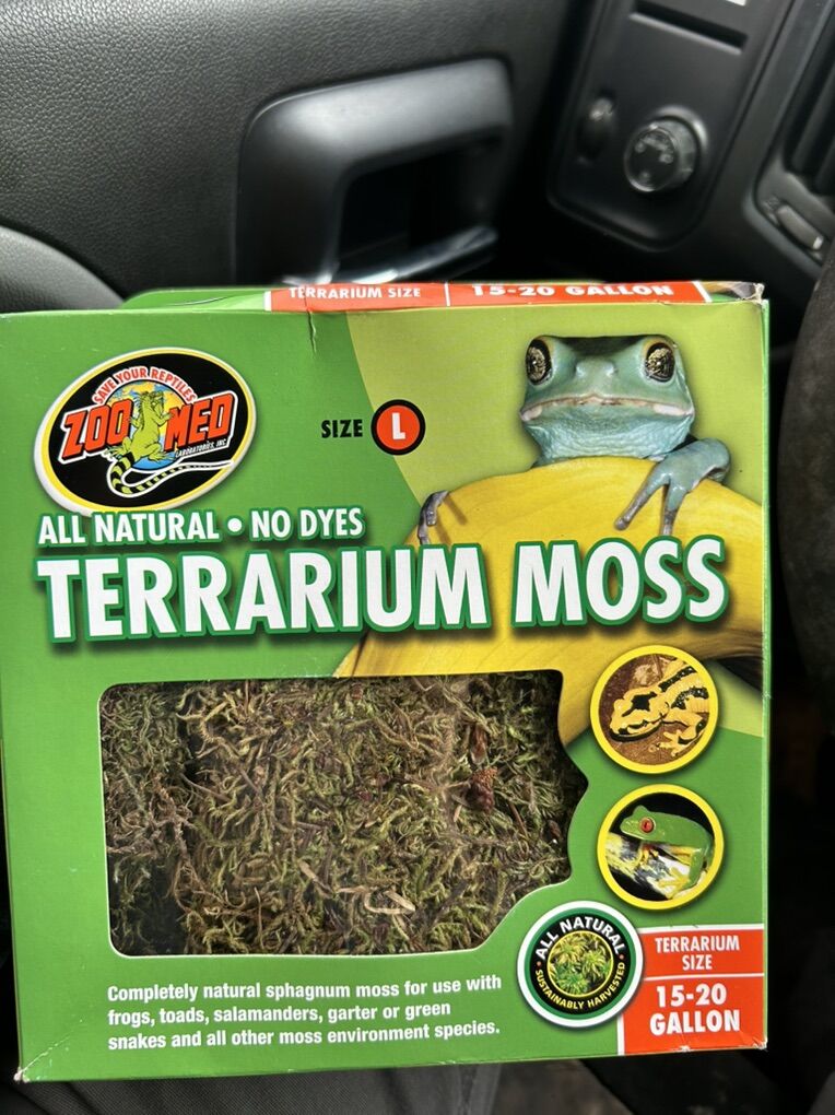 Terrarium Moss
