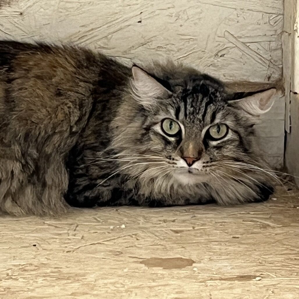 Hello my name is Delta