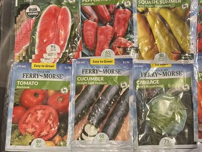 Vegetable Seeds