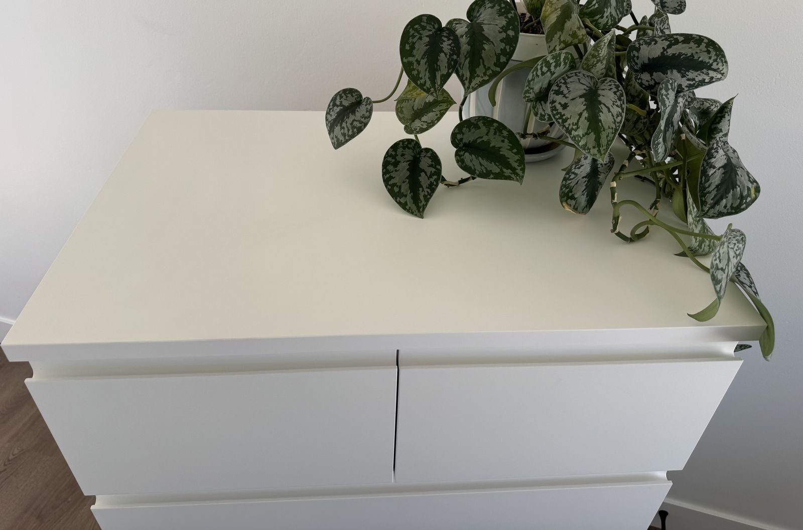 Main image 6