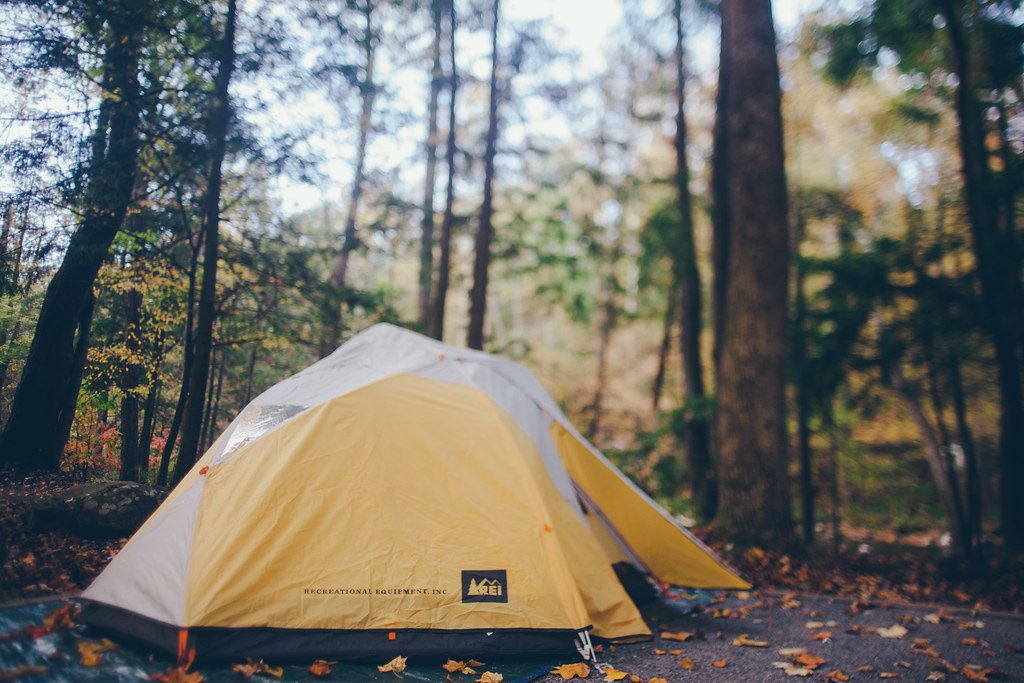REI TAJ 3 Tent