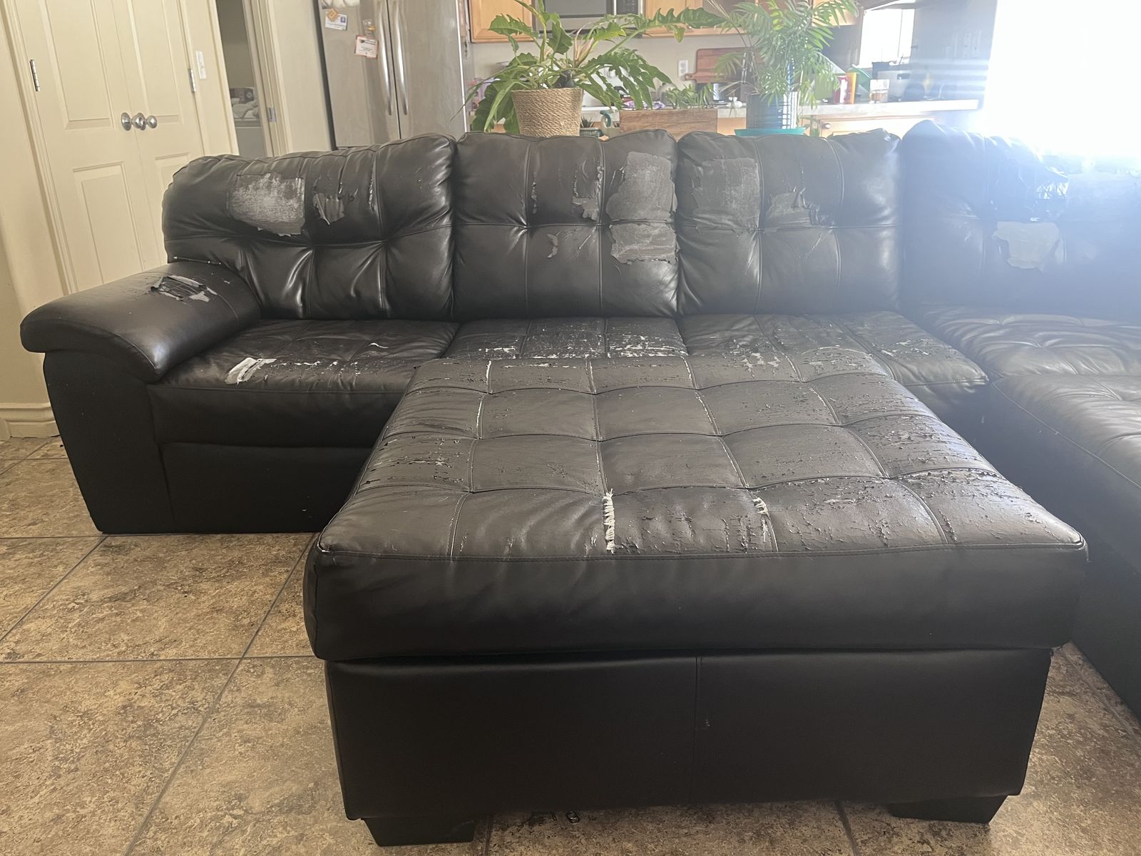 FREE sectional sofa couch