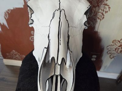 Black and White 2D Painted Cow Skull