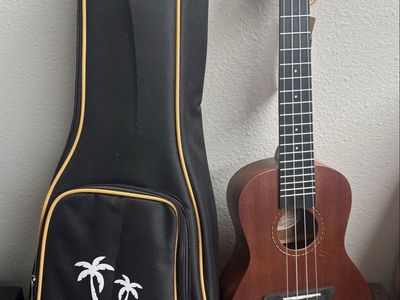Donner Ukulele with Carrying Case