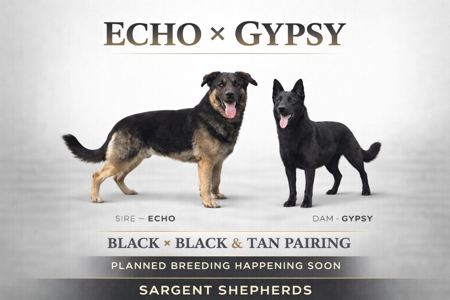 breeding happening soon.