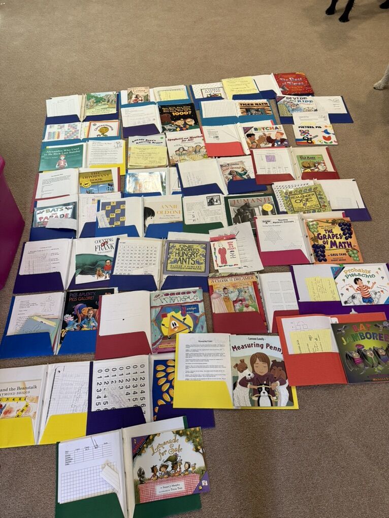 Set Of Math Literature Books