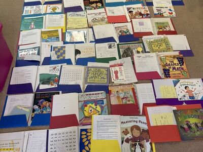 Set Of Math Literature Books