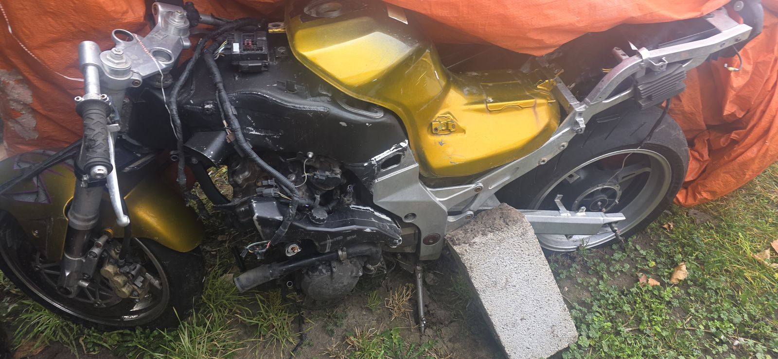 Zx 900 needs a new home