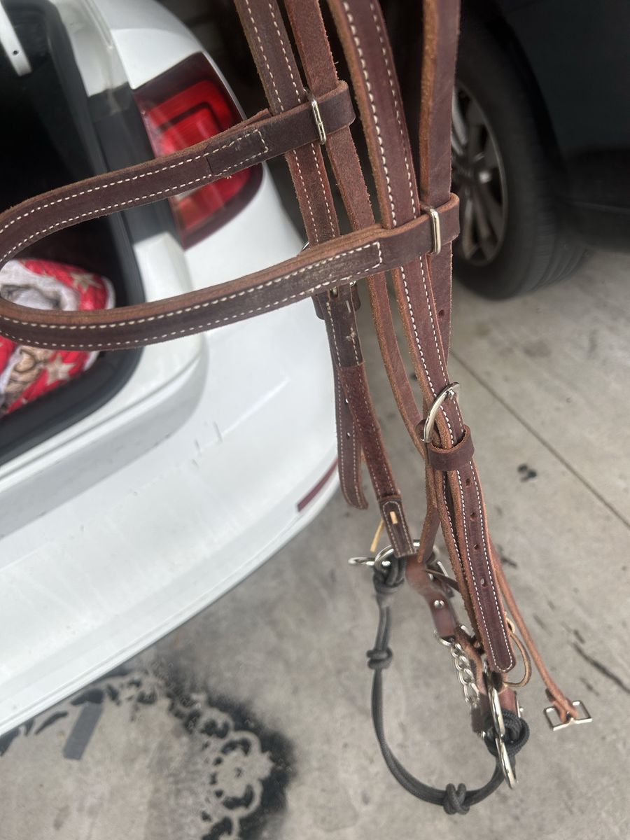 Used horse tack in good condition