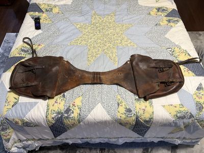 Leather saddle bags