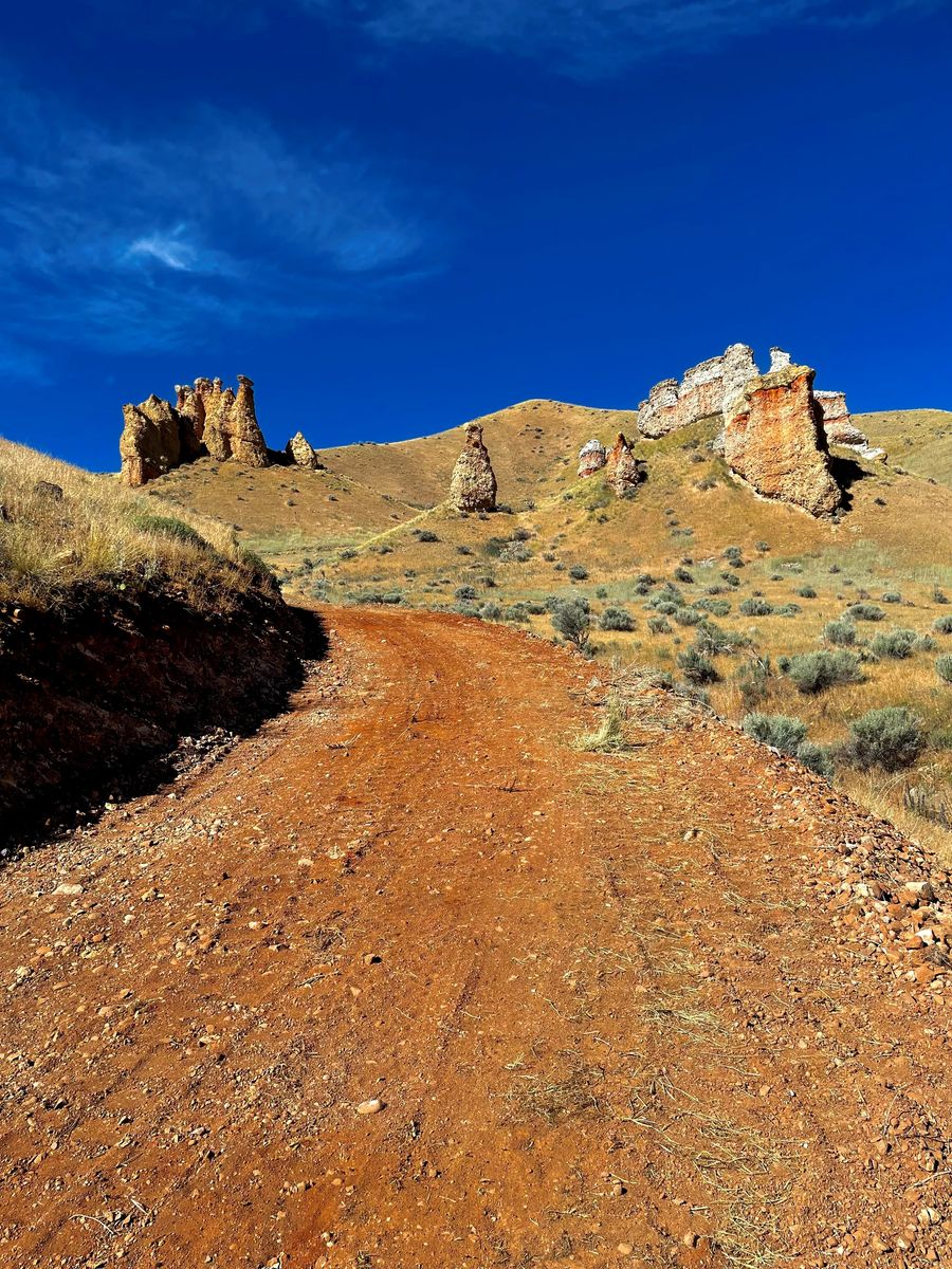 Horse pasture- Henefer