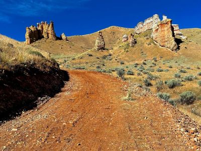 Horse pasture- Henefer
