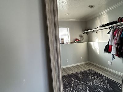 Large oversized Mirror