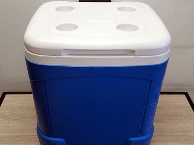 Igloo Ice Cube Cooler