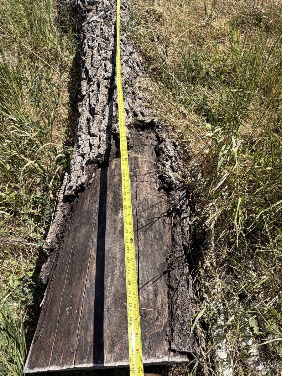 Main image 5