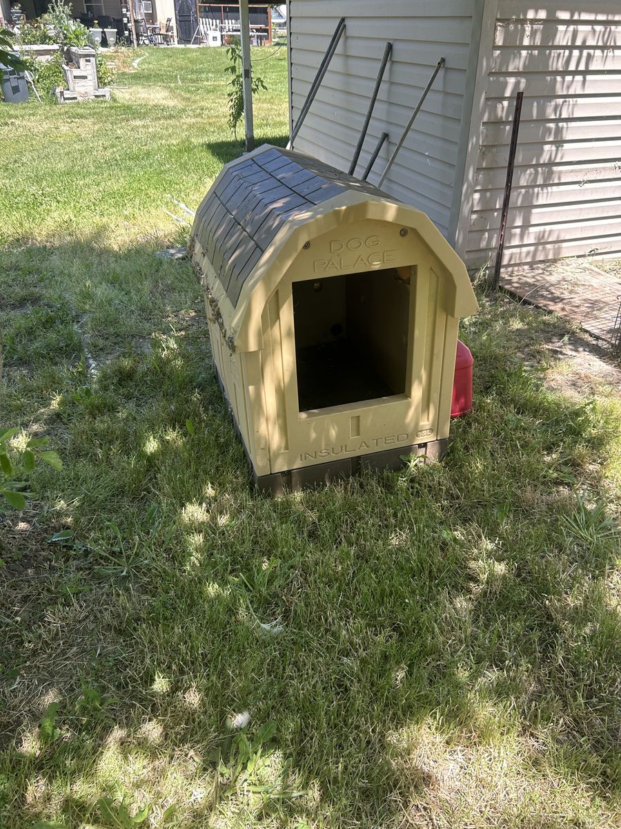 Nice dog house