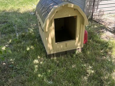 Nice dog house