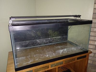 40 gallon Aquarium with Lid and Light - Used, Good Condition