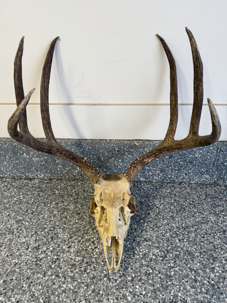 Main image 4
