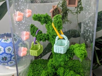 Female jumping spider+ enclosure and accessories