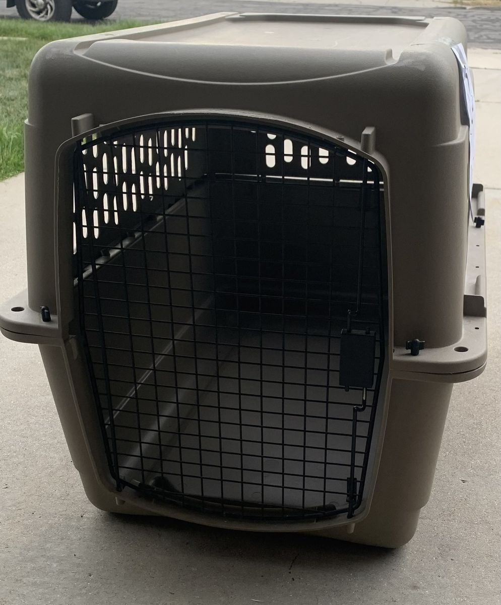 Dog House ... Animal Crate ... Temp In-law apt.