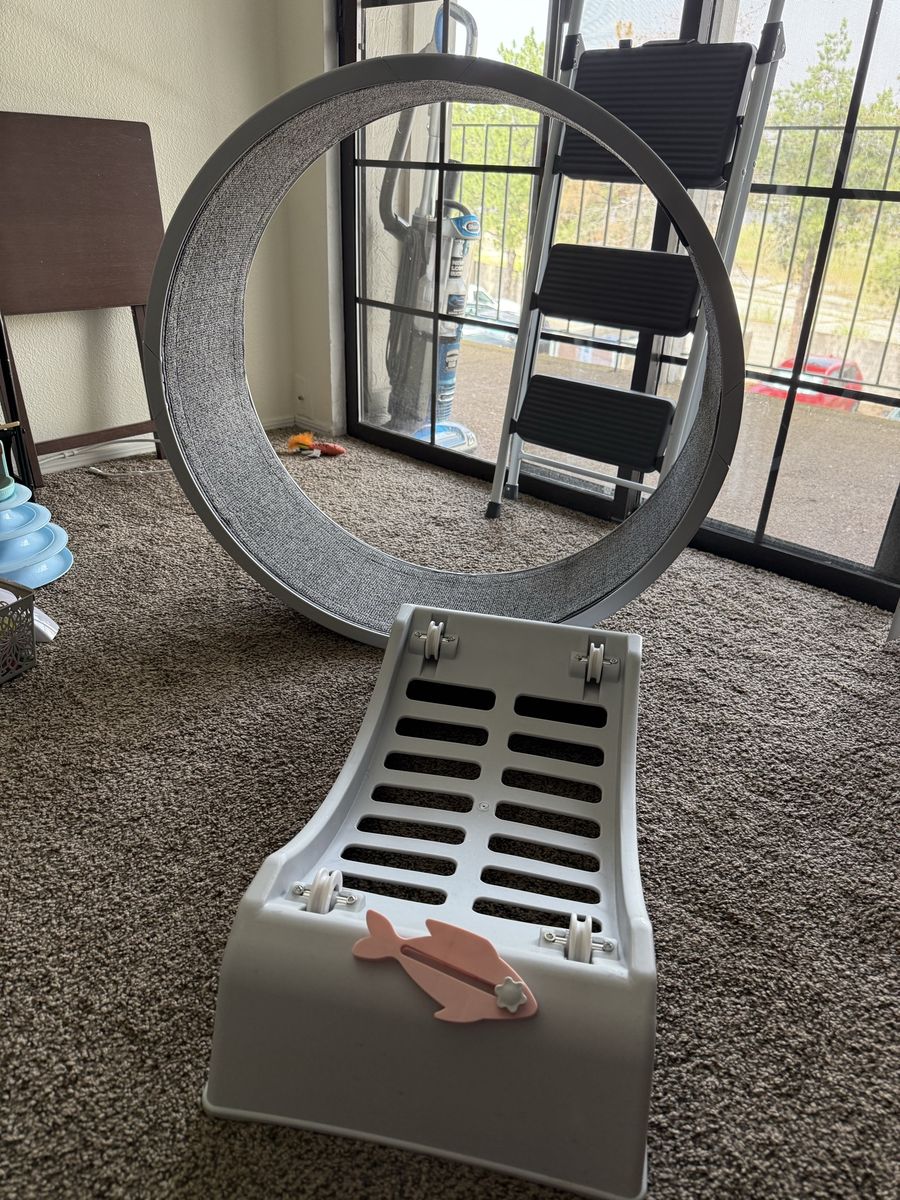 Cat Exercise Wheel - indoor